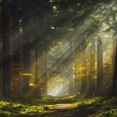 体育皇冠官网下载app