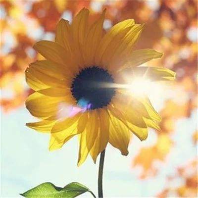 BOB体育综合app入口